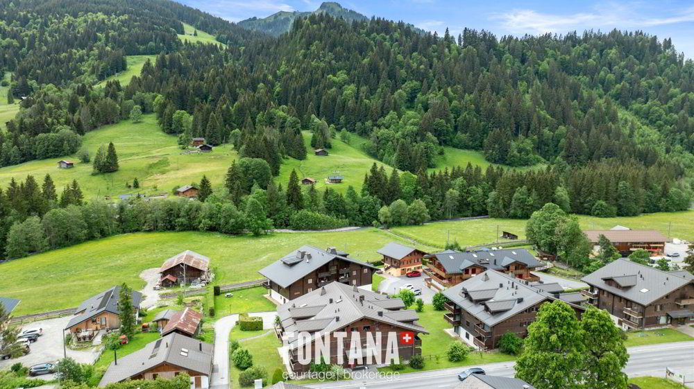 1 rooms Apartment to buy in Les Diablerets - image 1/18