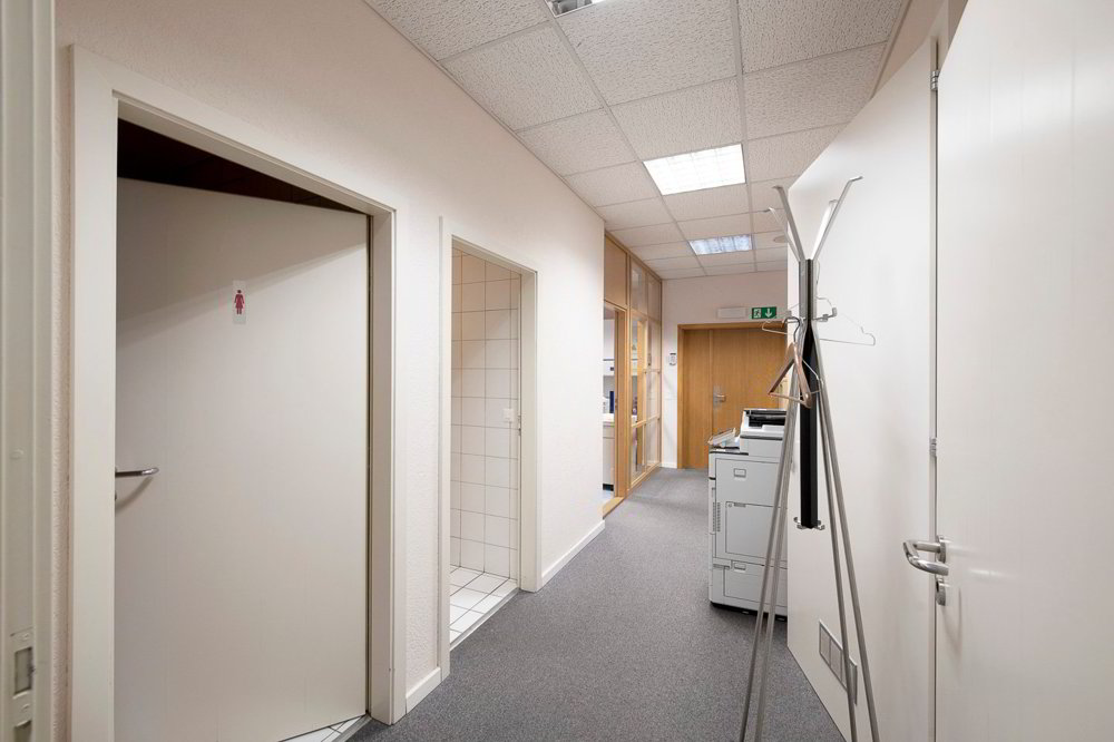 null rooms Office & Commercial for rent in Plan-les-Ouates - image 1/13