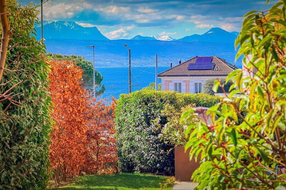 Wohnung – Lutry - Ansicht 5