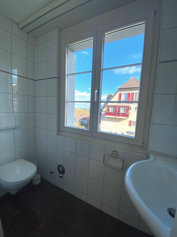 4 Zimmer Wohnung zu vermieten in Schönenbuch - Bild 1/11
