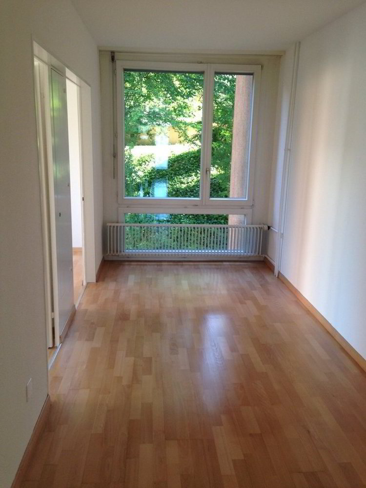 Appartamento di 3.5 locali in affitto a Geroldswil - immagine 1/6