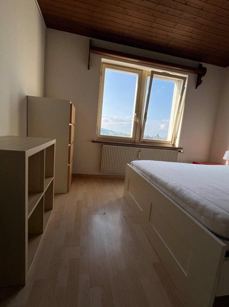 Appartamento di null locali in affitto a St. Gallen - immagine 1/6