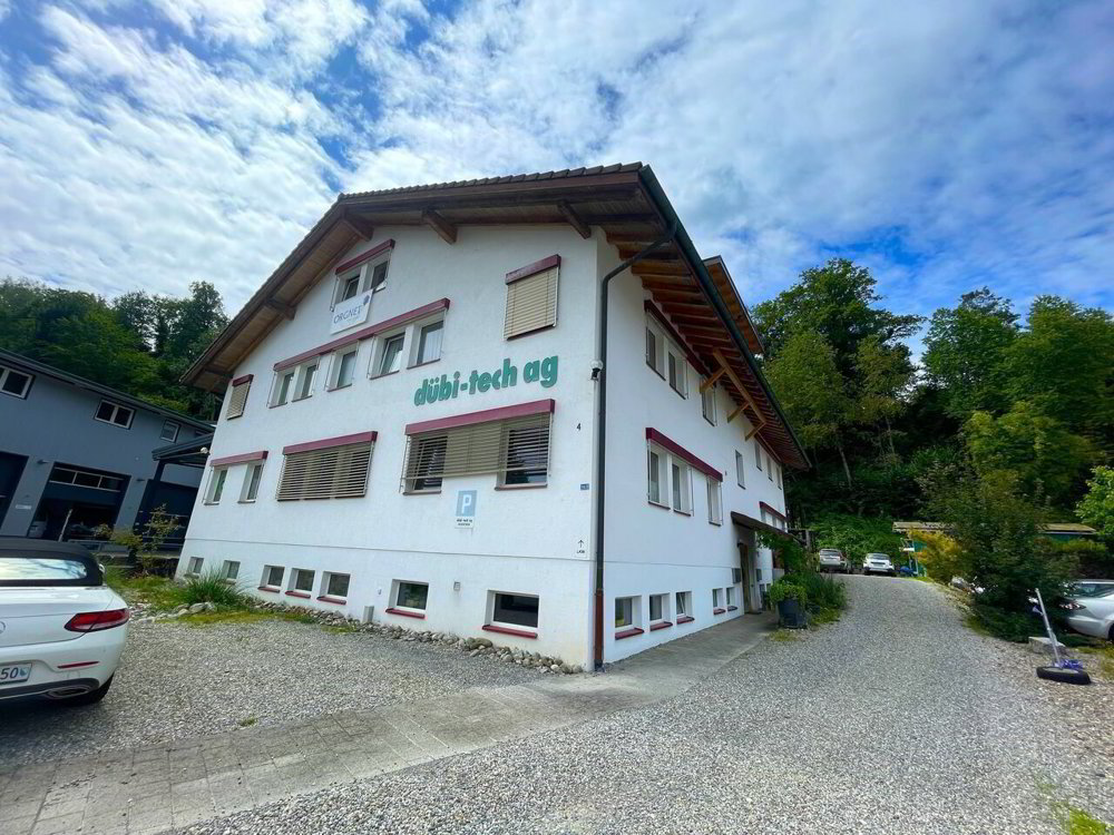 Appartamento di 5 locali in affitto a Wila - immagine 1/12
