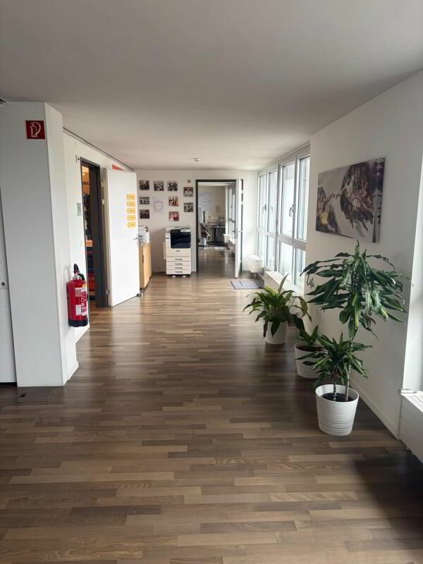 Repräsentative Bürofläche inklusive grosszügiger Dachterrasse - Ansicht 3