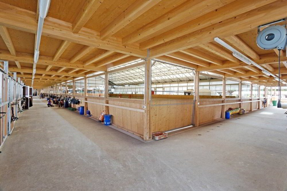Haus – Yverdon-les-Bains - Ansicht 4