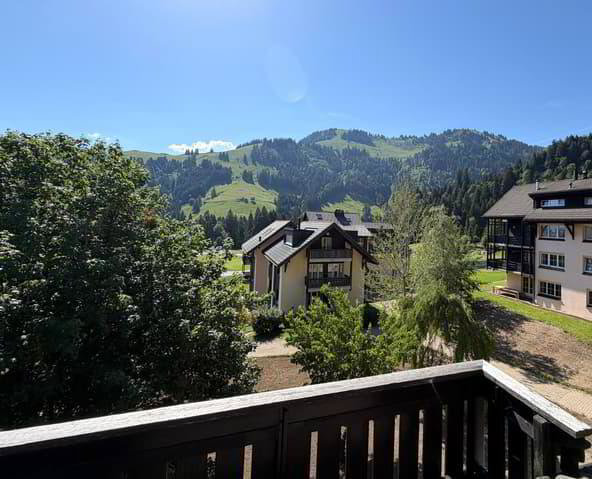 Appartement 3.5 pièces à acheter à Moléson-sur-Gruyères - image 1/7