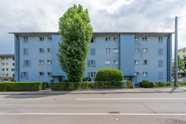Appartamento di 2 locali in affitto a Dietikon - immagine 1/1