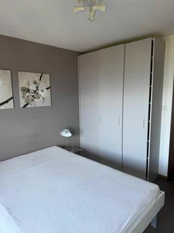 null Zimmer Wohnung zu vermieten in Haute-Nendaz - Bild 1/13