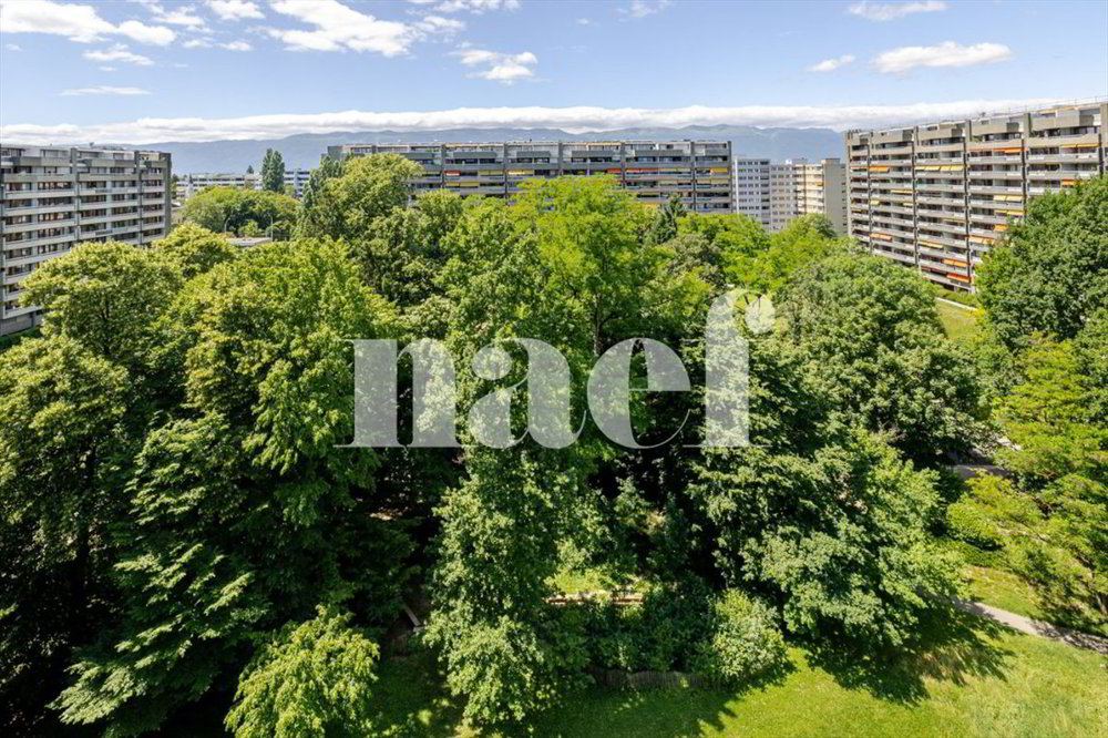 2 rooms Apartment to buy in Genf - image 1/10