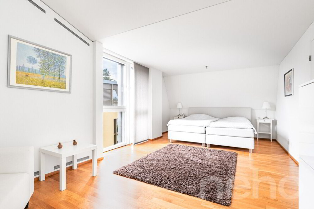 Appartamento di 6 locali in vendita a Arlesheim - immagine 1/12