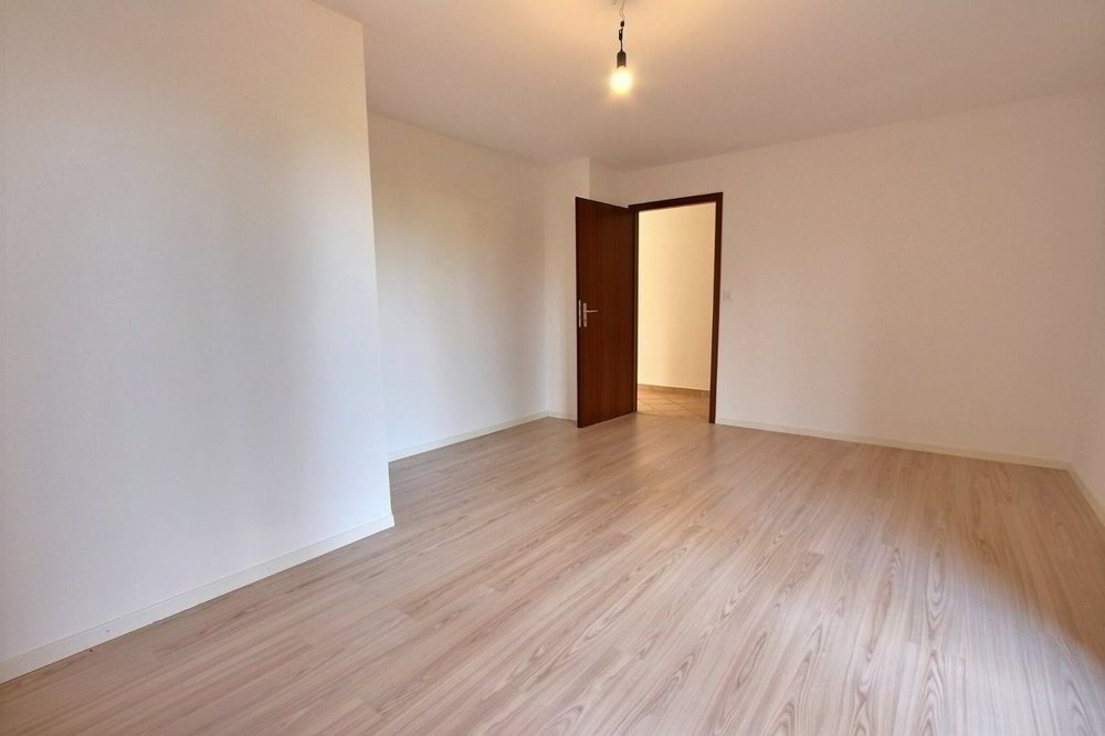4 Zimmer Wohnung zum verkaufen in Blonay - Bild 1/13