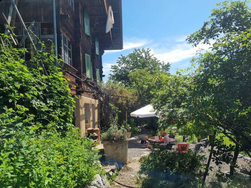 Appartement 4 pièces à louer à Weissenburg - image 1/10