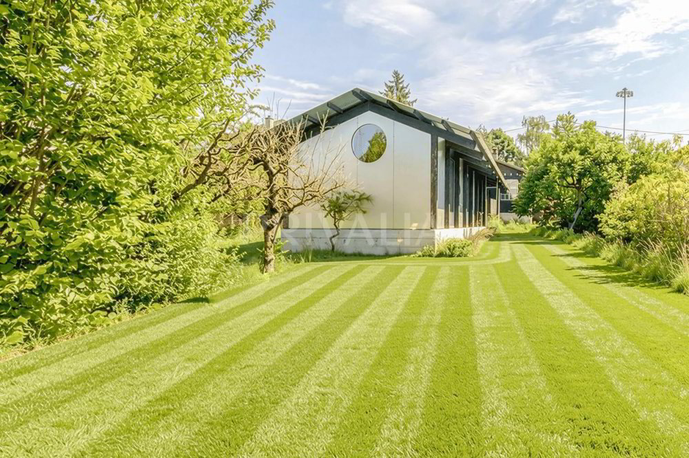 6 Zimmer Haus zum verkaufen in Châtelaine - Bild 1/6