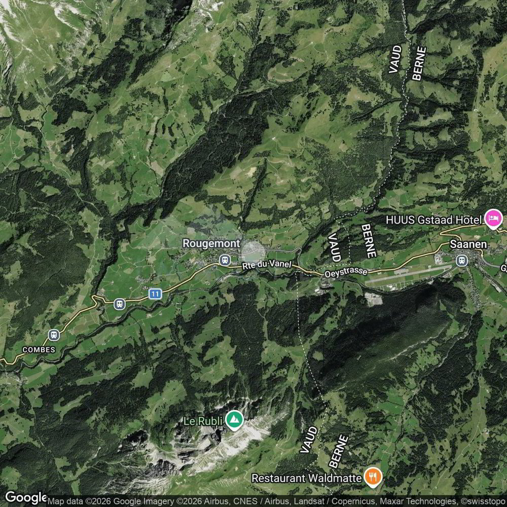 Appartamento di 4.5 locali in vendita a Rougemont - immagine 1/19