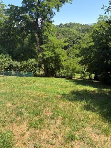 Casa di 6 locali in affitto a Aïre - immagine 1/10