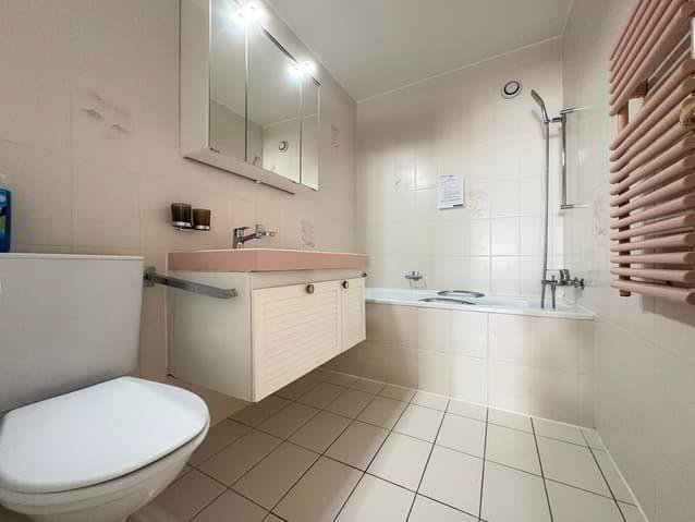2.5 Zimmer Wohnung zu vermieten in Losanna - Bild 1/13