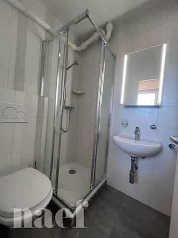 1 Zimmer Wohnung zu vermieten in La Chaux-de-Fonds - Bild 1/9
