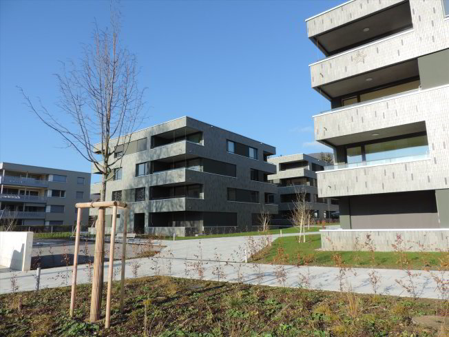 Appartamento di 3 locali in affitto a Wangen b. Olten - immagine 1/1