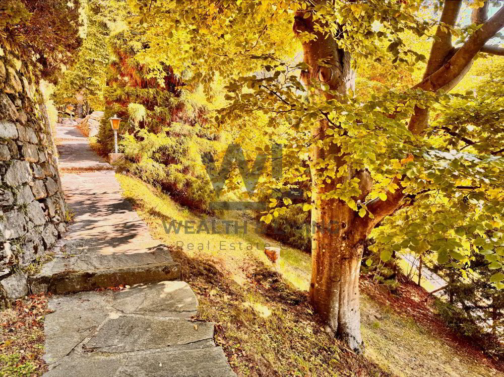 4 rooms House to buy in Locarno - image 1/13