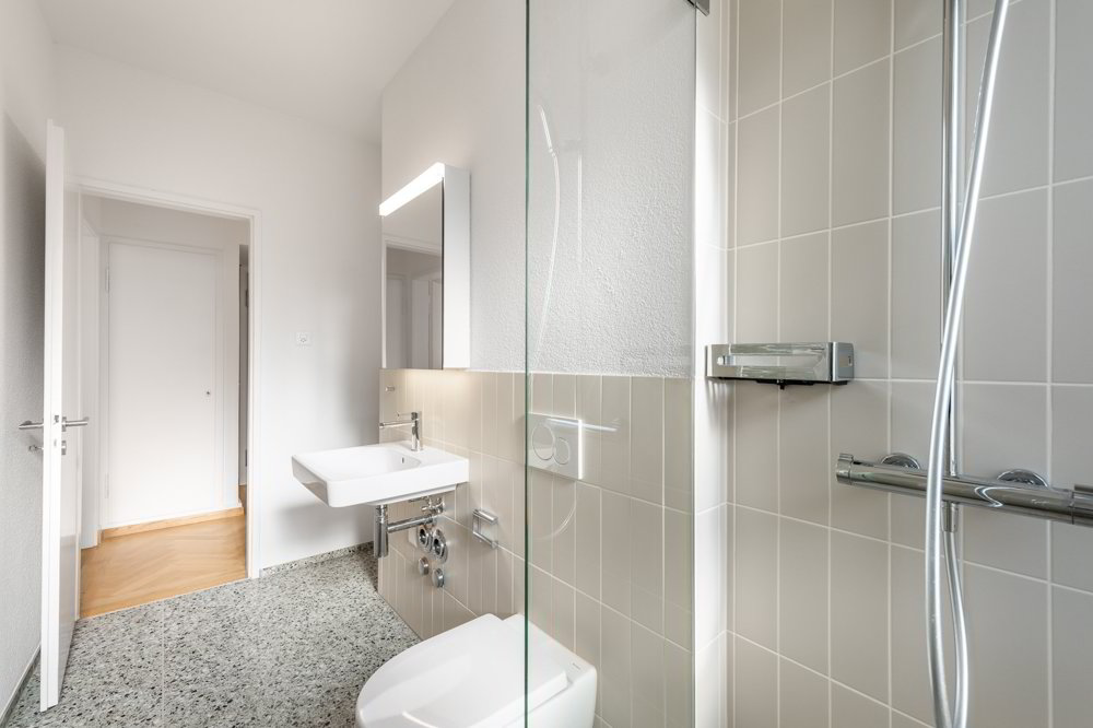Appartamento di 2 locali in affitto a Zürich - immagine 1/9