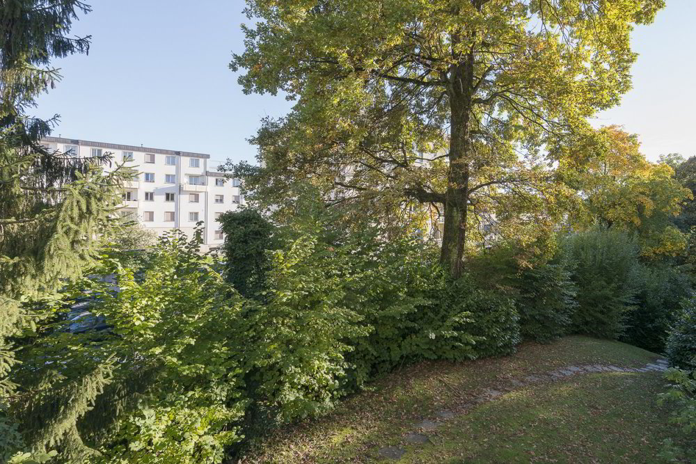 Appartamento di 5 locali in affitto a Lausanne - immagine 1/2