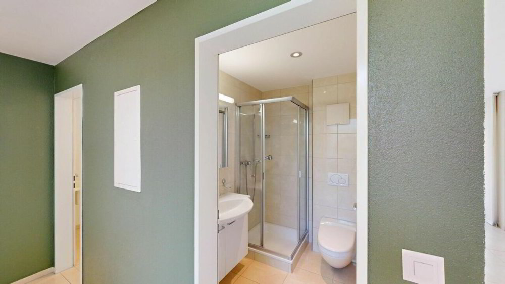 6 rooms Apartment to buy in Liestal - image 1/13