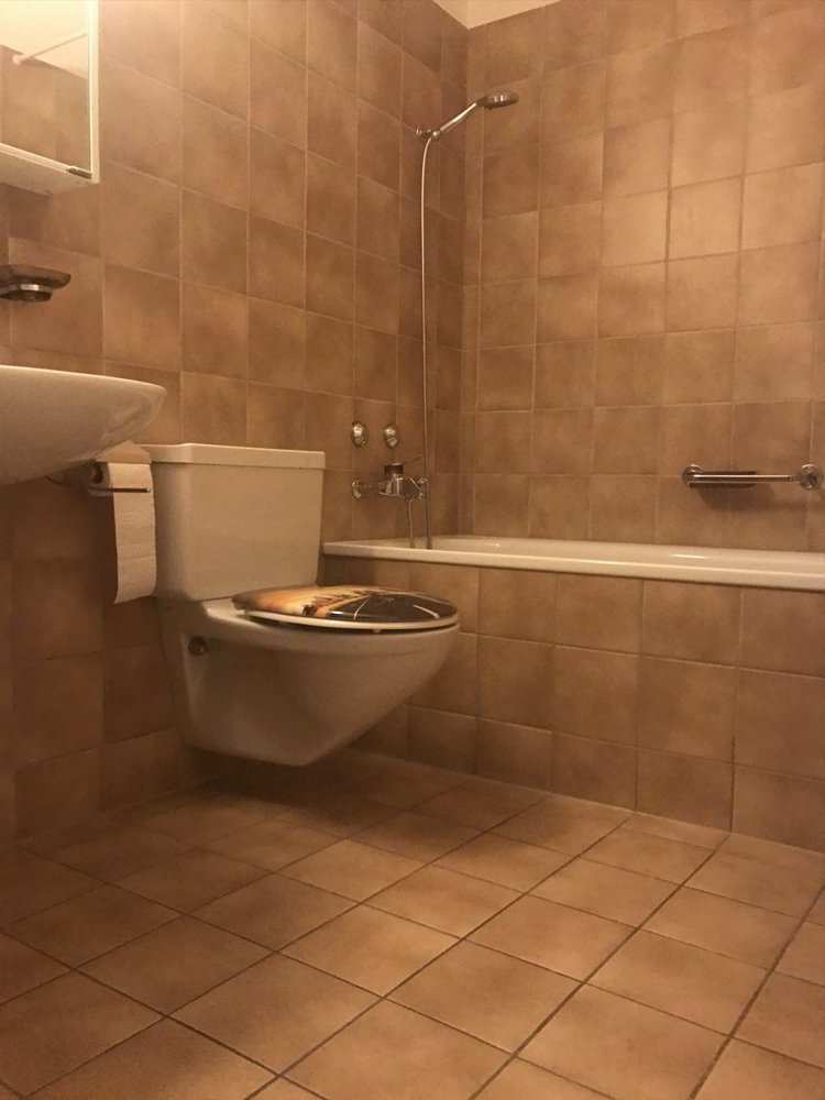 4 rooms Apartment for rent in Zürich - image 1/8