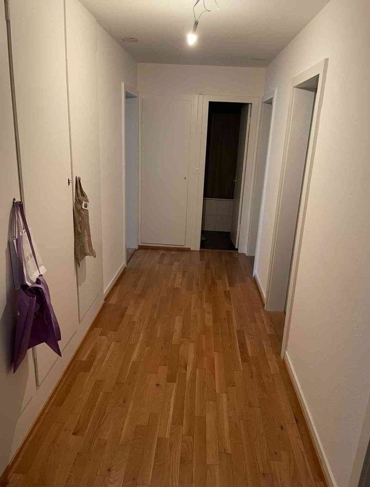 Appartamento di 3 locali in affitto a Zurigo - immagine 1/5