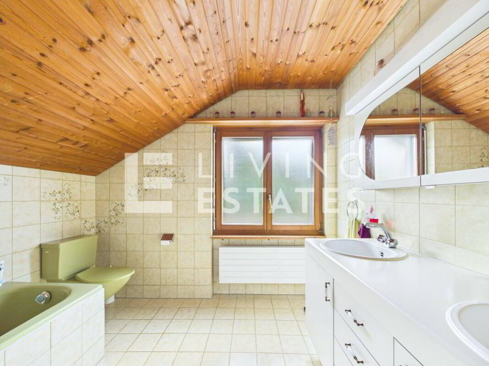 Casa di 8 locali in vendita a Däniken SO - immagine 1/13