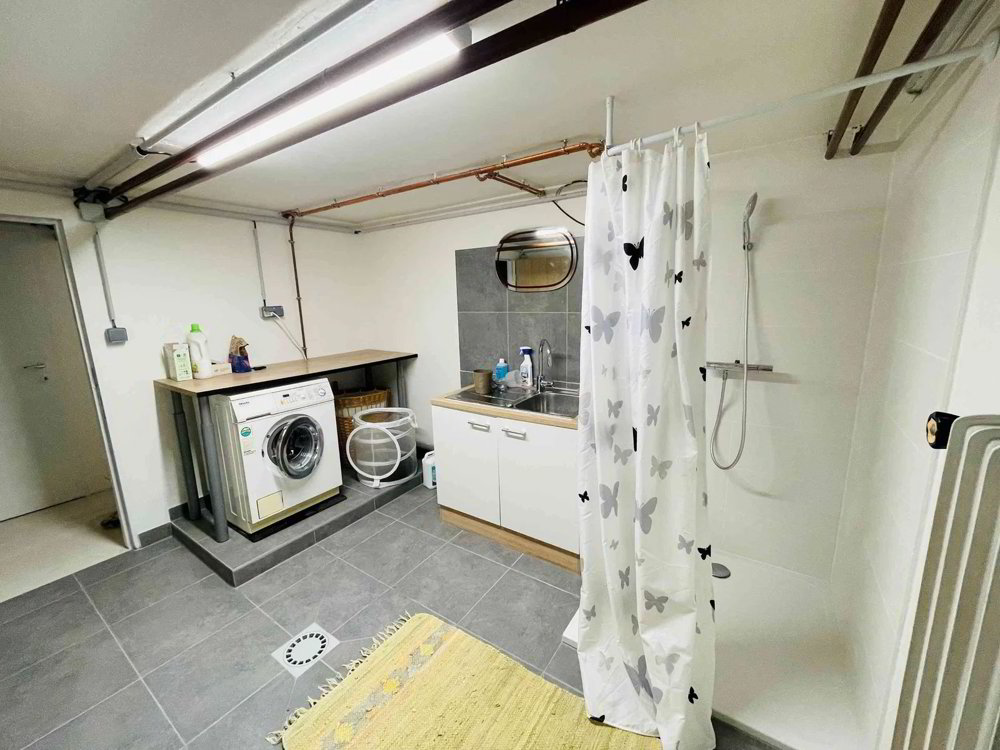 6 Zimmer Haus zu vermieten in Basel - Bild 1/13