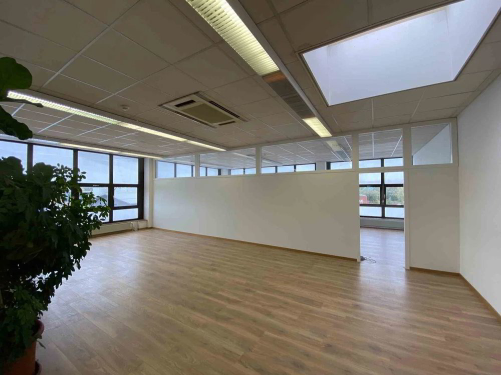 2.5 rooms Office & Commercial for rent in Rheineck - image 1/13