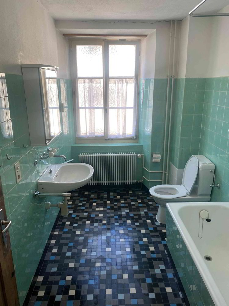 Appartement 4 pièces à louer à Zillis - image 1/8