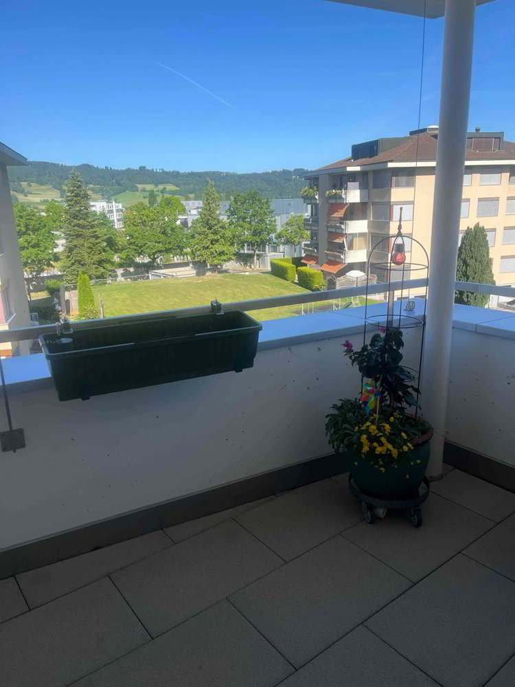 Appartamento di 3.5 locali in affitto a Hitzkirch - immagine 1/11