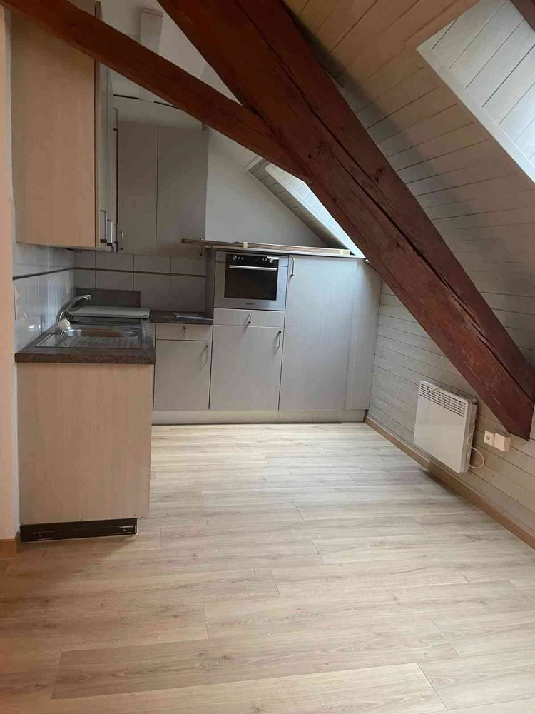 Appartement 1.5 pièces à louer à Bremgarten AG - image 1/6