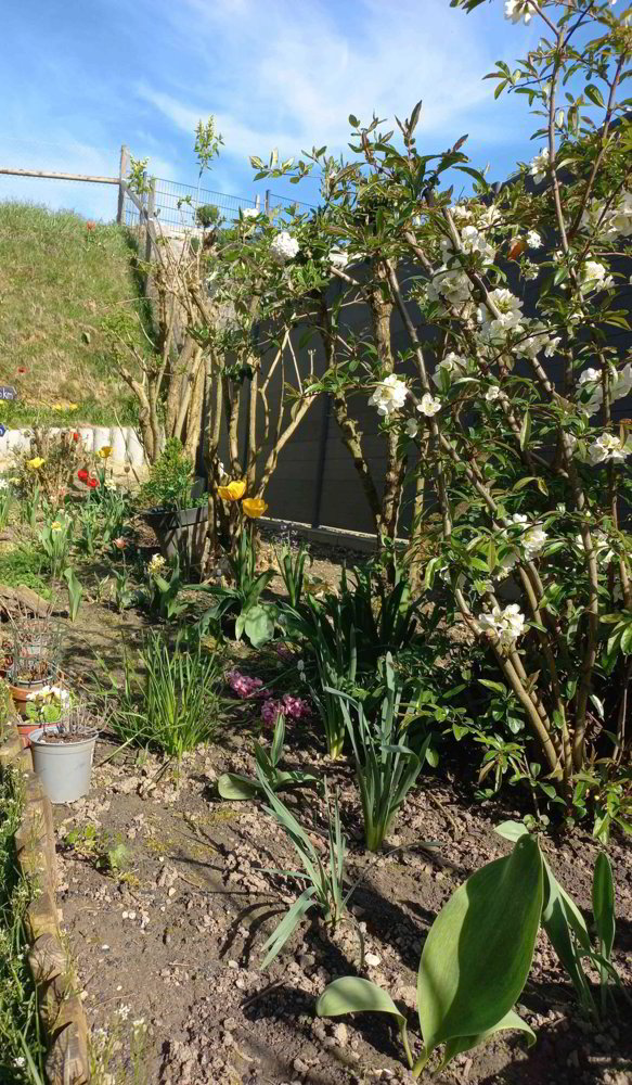 Appartement 4.5 pièces à louer à Gondiswil - image 1/8
