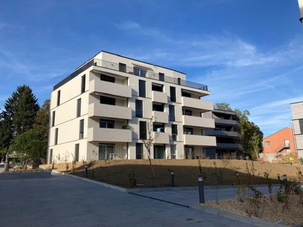 2 Zimmer Wohnung zu vermieten in Cheseaux-sur-Lausanne - Bild 1/1