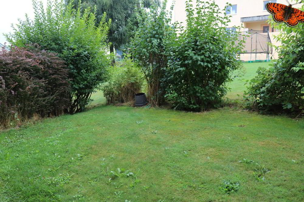 Appartamento di 2 locali in affitto a Ependes FR - immagine 1/8