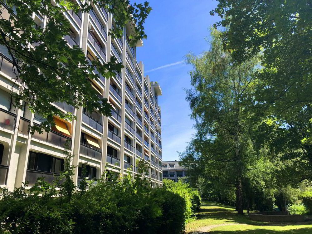 Appartamento di 4 locali in affitto a Geneva - immagine 1/13
