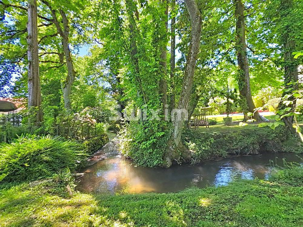 6 Zimmer Haus zu vermieten in Commugny - Bild 1/7