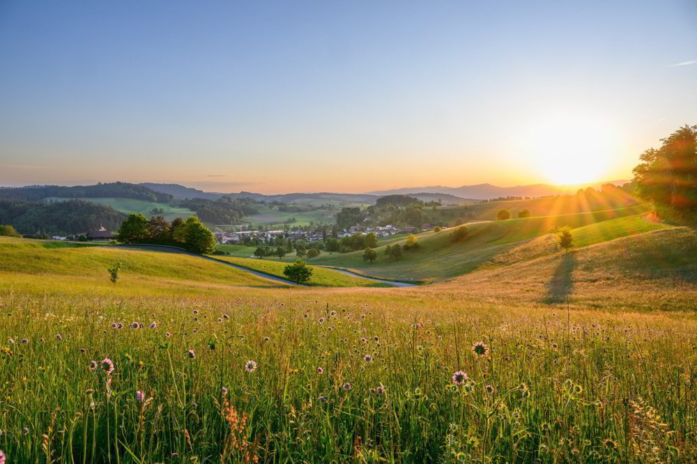 Appartamento di 4.5 locali in vendita a Altbüron - immagine 1/14
