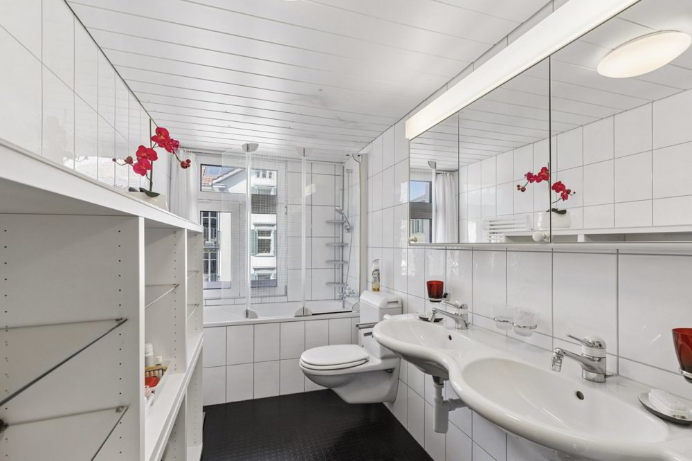 Casa di null locali in vendita a St. Gallen - immagine 1/10