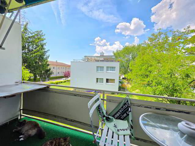 3.5 Zimmer Wohnung zu vermieten in Nidau - Bild 1/13