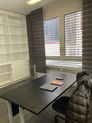 Ufficio & Commercio di 1 locali in affitto a Meyrin - immagine 1/1