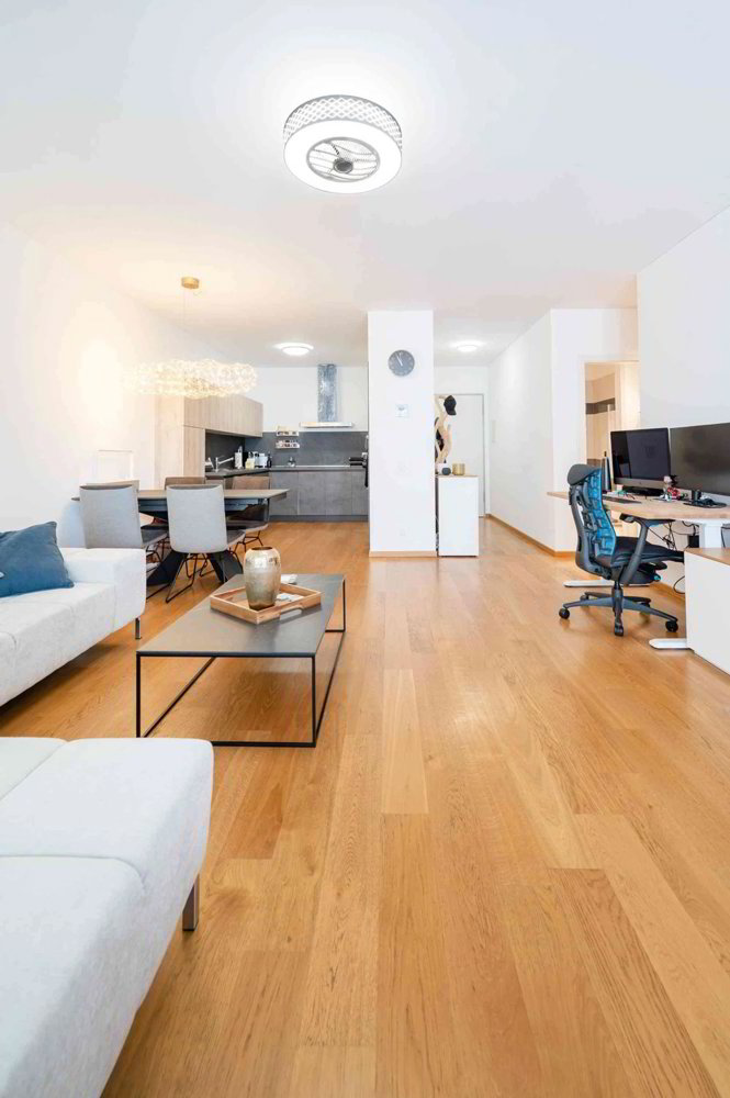 Appartement 2.5 pièces à louer à Lugano - image 1/12