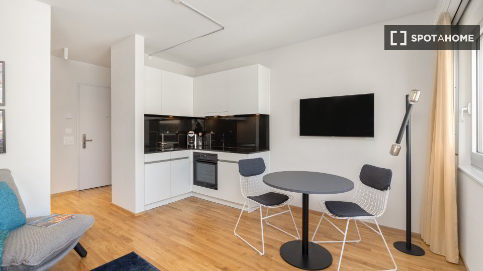 Appartement null pièces à louer à Zurich - image 1/13