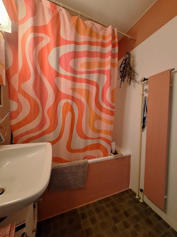 Appartamento di 2 locali in affitto a Zürich - immagine 1/6