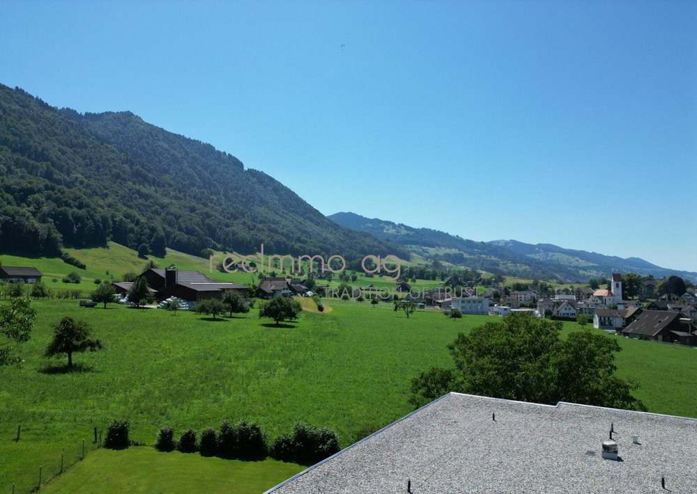 Appartement 3.5 pièces à acheter à Schübelbach - image 1/9