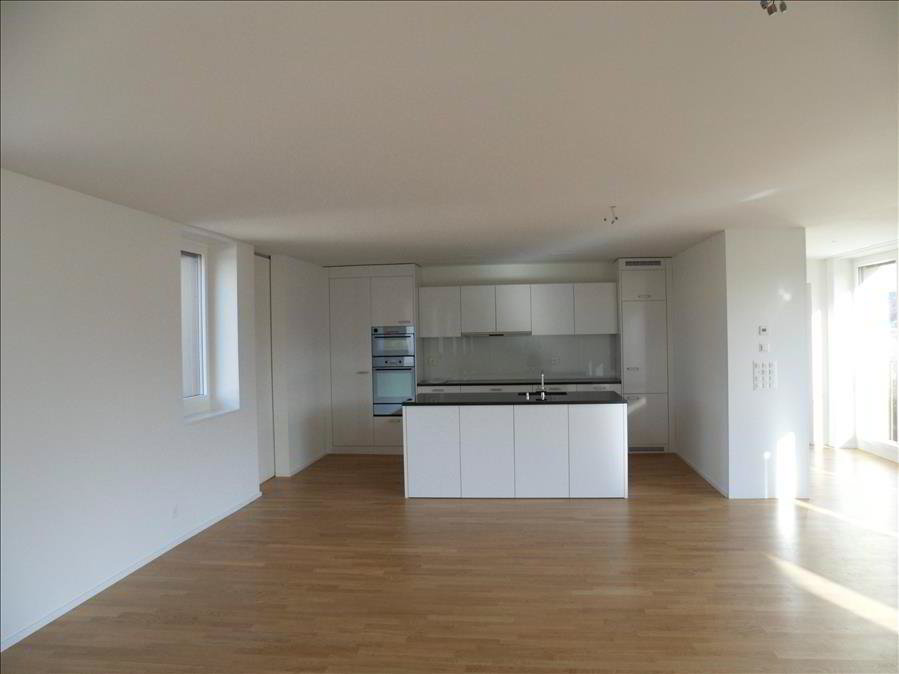 3.5 Zimmer Wohnung zu vermieten in Luzern - Bild 1/1
