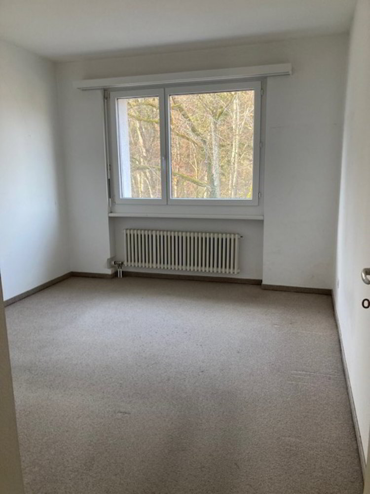 Appartamento di 4.5 locali in affitto a Schaffhouse - immagine 1/13