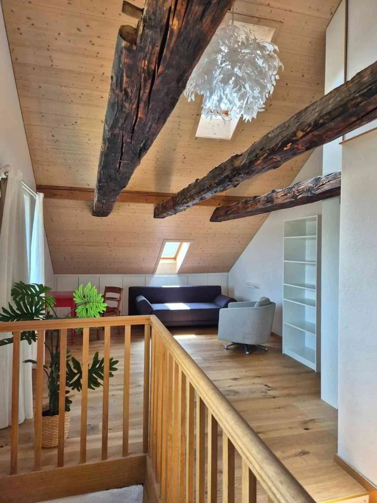 Casa di 3.5 locali in affitto a Arboldswil - immagine 1/9